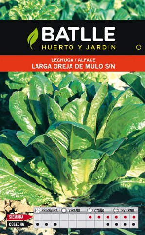 Lechuga Larga Oreja de Mulo