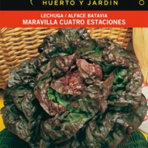 Lechuga 4 Estaciones Sobre
