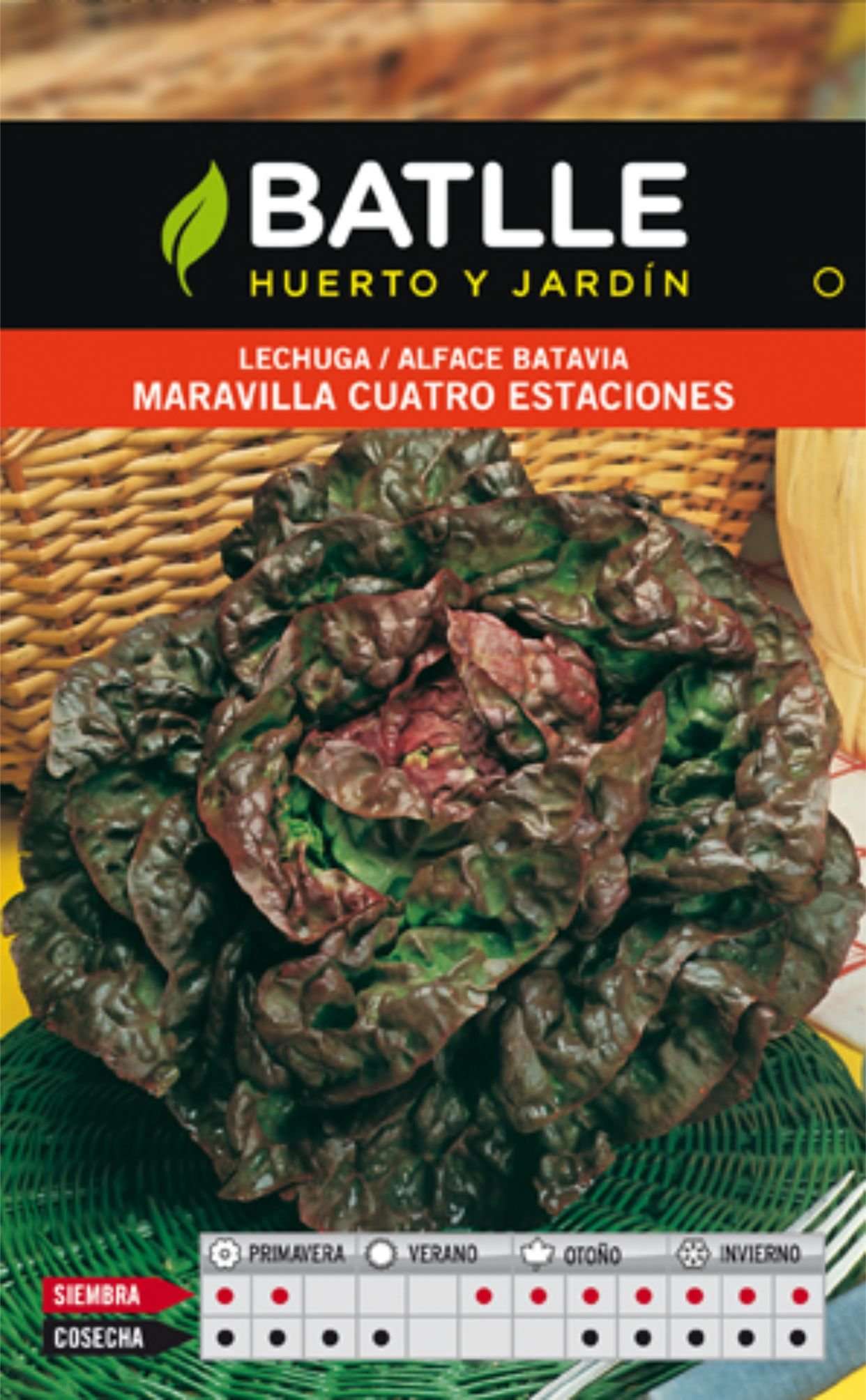 Lechuga 4 Estaciones Sobre