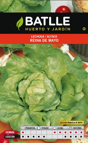 Lechuga R.MAYO-PRINCESA Sobre