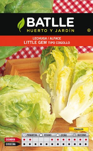 Lechuga Little Gem Cogollo