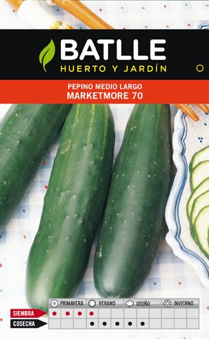Pepino Marketmore 1/2LARGO