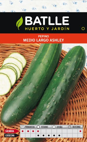 Pepino Ashley Medio Largo Sobre