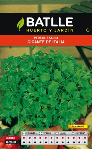 Perejil Gigante Italia Sobre