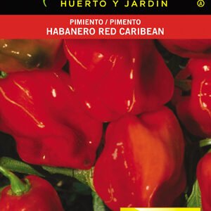 Pimiento Picante Habanero Red Caribbean