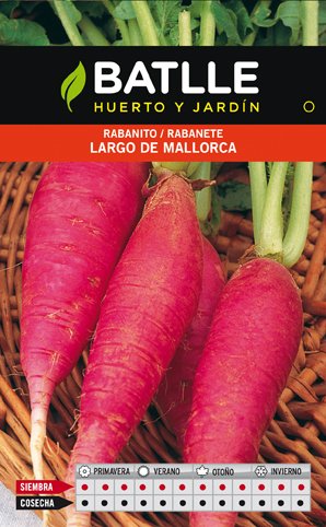 Rabanito Largo Mallorca Sobre