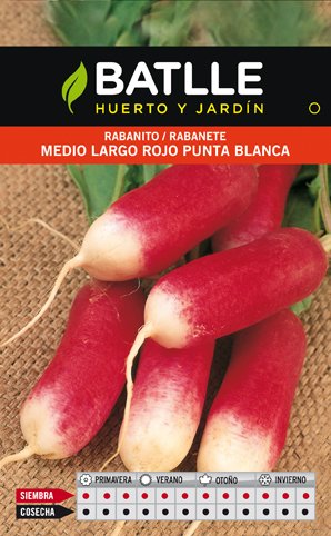 Rabanito Medio Largo Rojo P.BLANCA.SOBRE