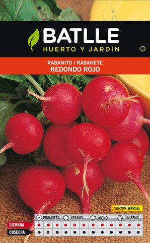 Rabanito Redondo Rojo SEL.ESPECIAL Sobre