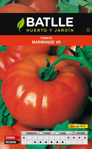 Tomate Marmande VR.HOLANDA Sobre