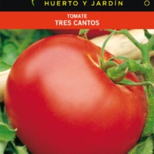 Tomate Tres Cantos Sobre