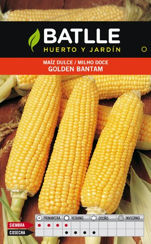 Maiz Dulce Golden Bantan Sobre