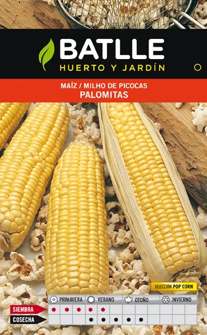 Maiz Palomitas Pop Corn