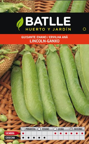Guisante Lincoln 25 KG.
