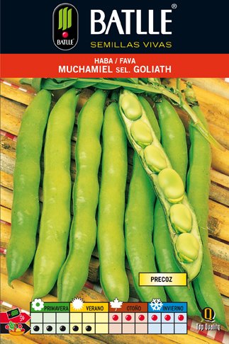 Haba Muchamiel 1 KG. Selc.goliath - Imagen 2