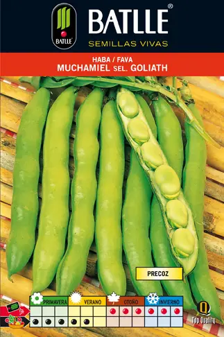 Haba Muchamiel 1 KG. Selc.goliath - Imagen 2