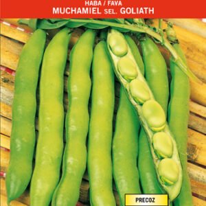 Haba Muchamiel Goliath 25 KG.