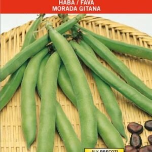 Haba Morada Gitana 25 KG.