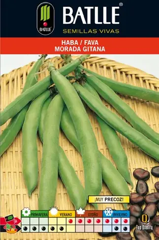 Haba Morada Gitana 250 GR. - Imagen 2
