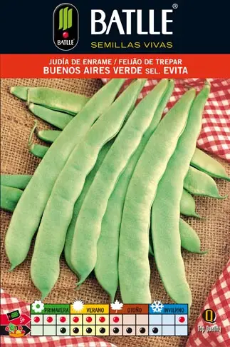 Judia Buenos Aires VER.S.EVITA 100G Enrame - Imagen 2