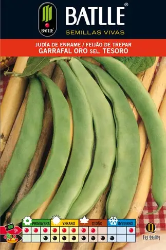 Judia Garrafal Oro 100 GR.ENRAME - Imagen 2