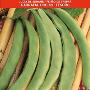 Judia Garrafal Oro 250 GR.ENRAME