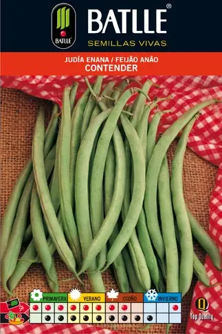 Judia Contender 250 GR.ENANA - Imagen 2