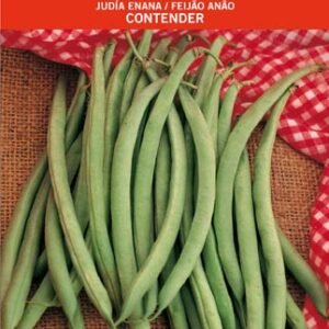 Judia Contender 1 KG.ENANA
