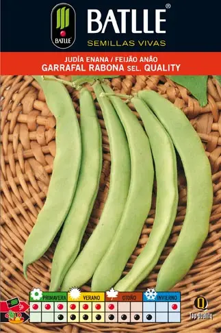 Judia Garrafal Rabona 100 GR.ENANA - Imagen 2
