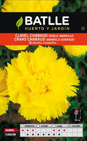 Clavel Chabaud Doble Amarillo Sobre