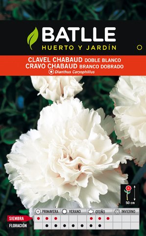 Clavel Chabaud Blanco Sobre