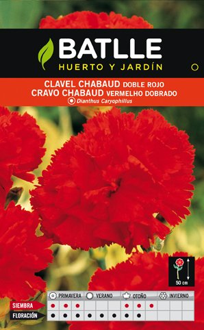 Clavel Chabaud Rojo Sobre