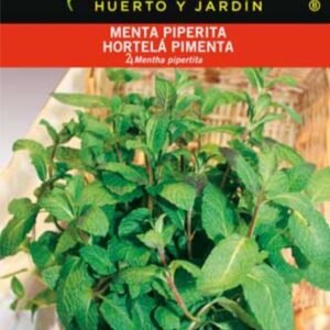 Menta Piperita (infusiones) Sobre