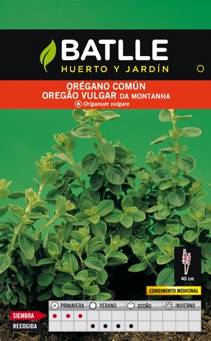 Oregano Sobre.