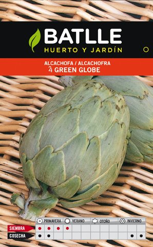 Alcachofa Green Globe
