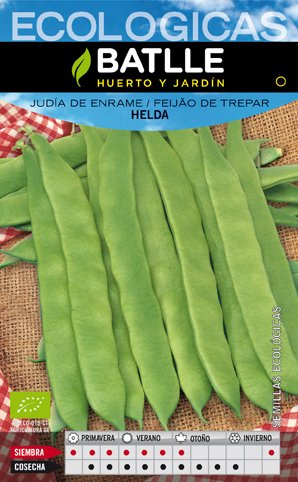Judia Helda Ecologica Sobre