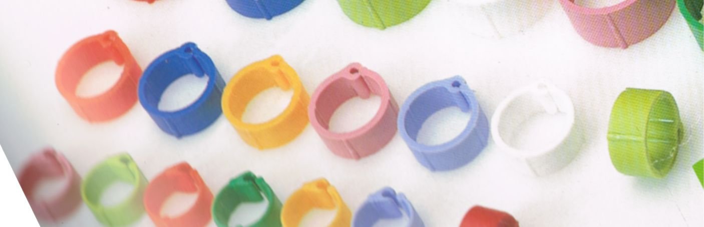 Anilla Plastico Palomas 8mm. 100 Uds.bolsa