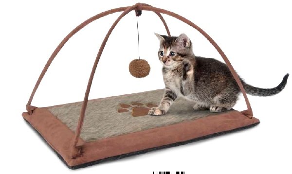 Moqueta Rascador para Gatos,con un Juego Suspendido.