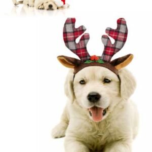 Cuerno de Reno Pack 3 Piezas