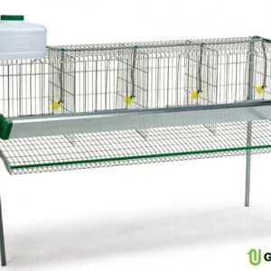 Bateria 16 Aves 4 Departamentos