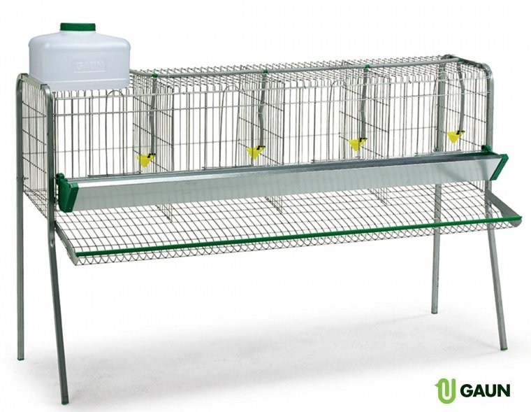 Bateria 16 Aves 4 Departamentos