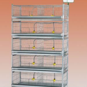 Bateria Exposicion 2 Cestas Principio