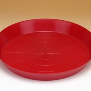 Bandeja Pollitos 1ª Edad