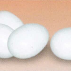 Huevos Plastico Gallinas