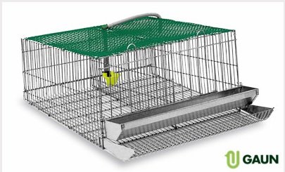 Jaula Codornices 2 Dptos.sin Patas