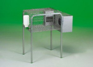 Jaula Conejo Lima 1 Nido