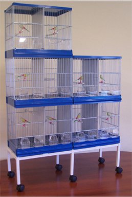 Jaula Cria Modular Ampliacion Lateral