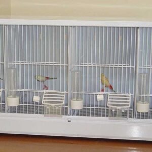 Planta Canarios Nº2 4 Departamentos