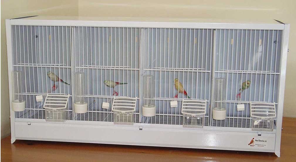 Planta Canarios Nº2 4 Departamentos