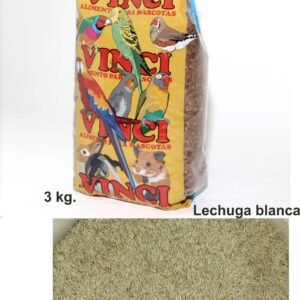 Lechuga Blanca Prodac 3 KG.