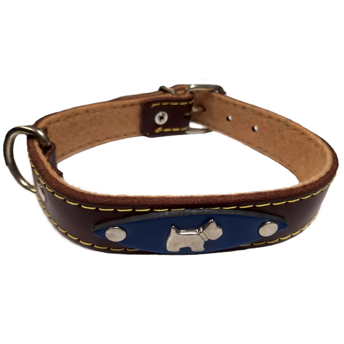 Collar Cuero Alamo Azul Aplique 55 CM.
